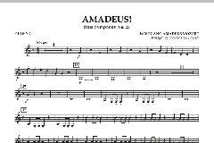 Amadeus! von Wolfgang Amadeus Mozart (Download) 
