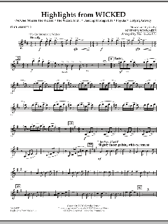 Highlights from Wicked von Stephen L. Schwartz (Download) 