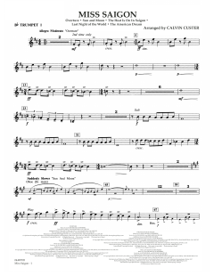 Miss Saigon von Claude-Michel Schönberg (Download) 