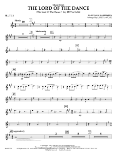 Music from the Lord of the Dance von Ronan Padraig Hardiman (Download) 