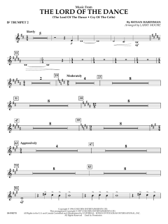 Music from the Lord of the Dance von Ronan Padraig Hardiman (Download) 