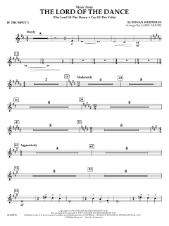 Music from the Lord of the Dance von Ronan Padraig Hardiman (Download) 