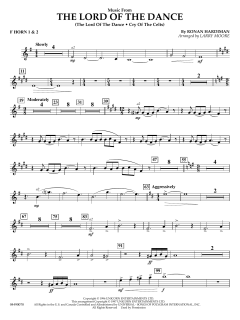 Music from the Lord of the Dance von Ronan Padraig Hardiman (Download) 