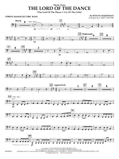 Music from the Lord of the Dance von Ronan Padraig Hardiman (Download) 