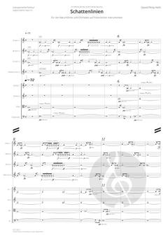 Schattenlinien von David Philip Hefti 