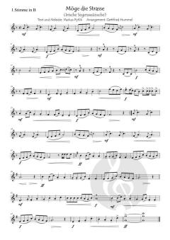 Möge die Straße (Irische Segenswünsche) von Markus Pytlik 