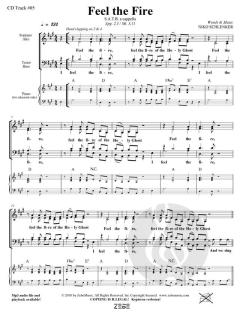 Feel the Fire von Niko Schlenker (Download) 