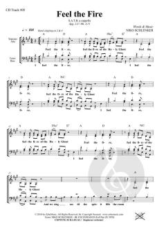 Feel the Fire von Niko Schlenker (Download) 
