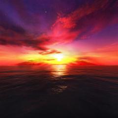 Shelter of Your Peace von Lisa Levine (Download) 