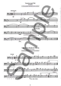 My Heart Will Go On (Celine Dion) 