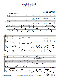 Hinei Eil Y'shuati von Robbie Solomon (Download) 