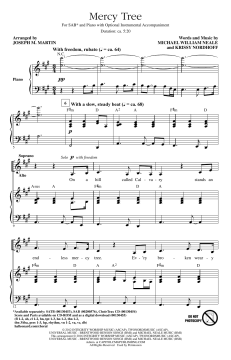 Mercy Tree von Lacey Sturm (Download) 