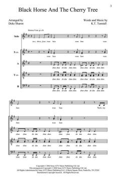 Black Horse And The Cherry Tree von KT Tunstall (Download) 