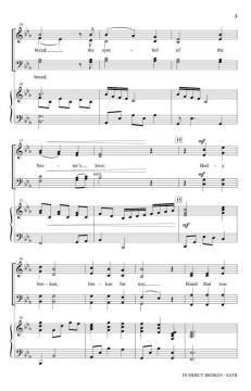 In Mercy Broken von Ruth Elaine Schram 