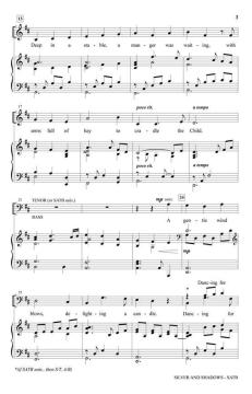 Silver and Shadows von Brad Nix (Download) 
