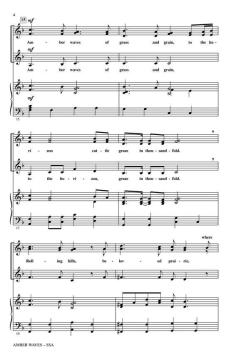 Amber Waves (From American Landscapes) von Audrey Snyder (Download) 