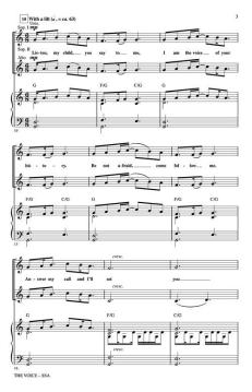 The Voice von Brendan Graham (Download) 