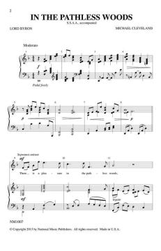 In The Pathless Woods von Michael Cleveland (Download) 