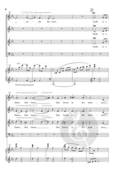 A Light Within von Sean Ivory 