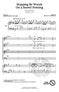 Stopping by Woods on a Snowy Evening von Bruce W. Tippette (Download) 