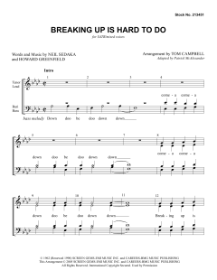 Breaking Up Is Hard to Do von Howard Greenfield (Download) 