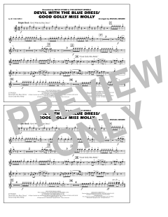 Devil With The Blue Dress/Good Golly Miss Molly von Mitch Ryder (Download) 