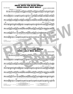 Devil With The Blue Dress/Good Golly Miss Molly von Mitch Ryder (Download) 