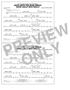 Devil With The Blue Dress/Good Golly Miss Molly von Mitch Ryder (Download) 