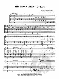 The Lion Sleeps Tonight von Luigi Creatore 