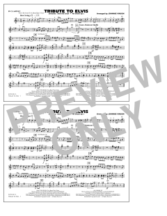 Tribute To Elvis Dont Be Cruel And All Shook Up von Johnnie Vinson (Download) 