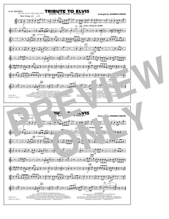 Tribute To Elvis Dont Be Cruel And All Shook Up von Johnnie Vinson (Download) 