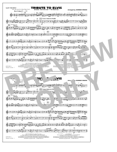 Tribute To Elvis Dont Be Cruel And All Shook Up von Johnnie Vinson (Download) 