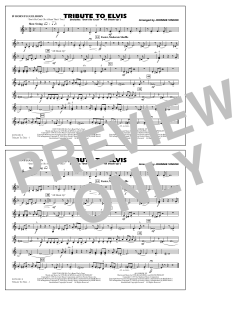 Tribute To Elvis Dont Be Cruel And All Shook Up von Johnnie Vinson (Download) 