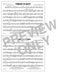 Tribute To Elvis Dont Be Cruel And All Shook Up von Johnnie Vinson (Download) 