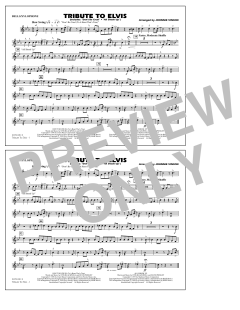 Tribute To Elvis Dont Be Cruel And All Shook Up von Johnnie Vinson (Download) 