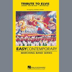 Tribute To Elvis Dont Be Cruel And All Shook Up von Johnnie Vinson (Download) 