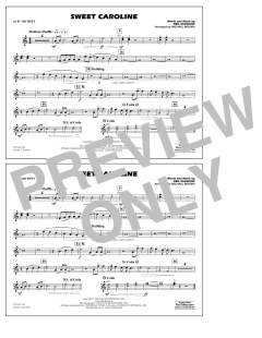 Sweet Caroline von Neil Diamond (Download) 