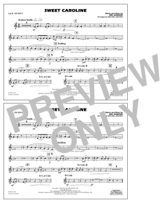 Sweet Caroline von Neil Diamond (Download) 