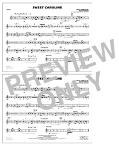 Sweet Caroline von Neil Diamond (Download) 