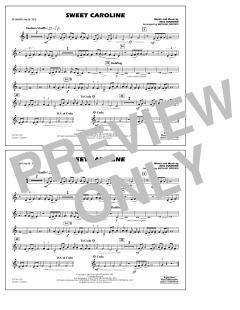 Sweet Caroline von Neil Diamond (Download) 