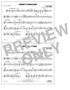 Sweet Caroline von Neil Diamond (Download) 