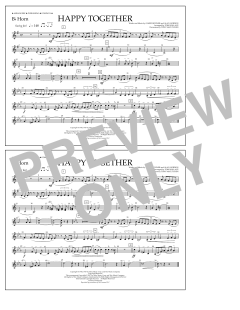 Happy Together von The Turtles (Download) 