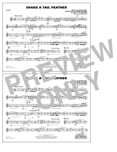 Shake a Tail Feather (Download) 