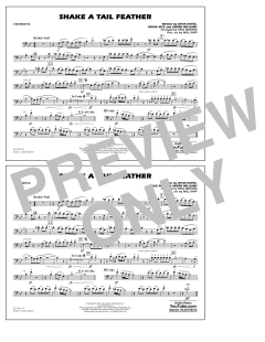 Shake a Tail Feather (Download) 