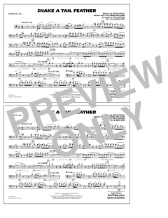 Shake a Tail Feather (Download) 