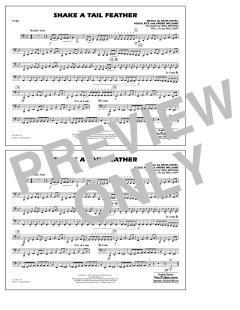 Shake a Tail Feather (Download) 