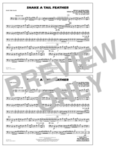 Shake a Tail Feather (Download) 