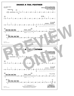 Shake a Tail Feather (Download) 