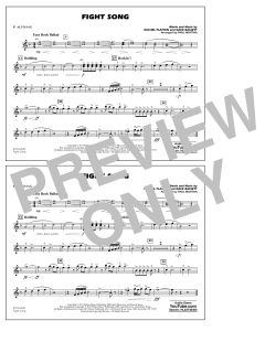 Fight Song von Rachel Platten (Download) 