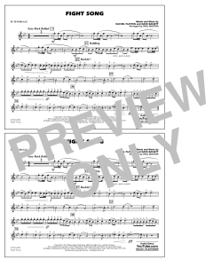 Fight Song von Rachel Platten (Download) 